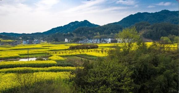 手機信號增強|跟弱信號說拜拜，用這個方法實現(xiàn)網(wǎng)絡(luò)信號100%